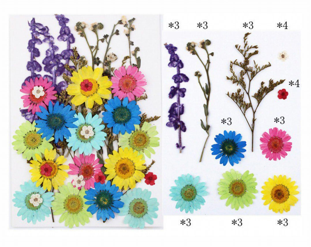 Pressed Flower - pack of 32 pcs