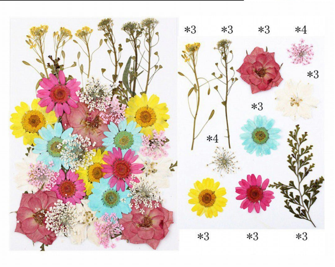 Pressed Flower - pack of 32 pcs