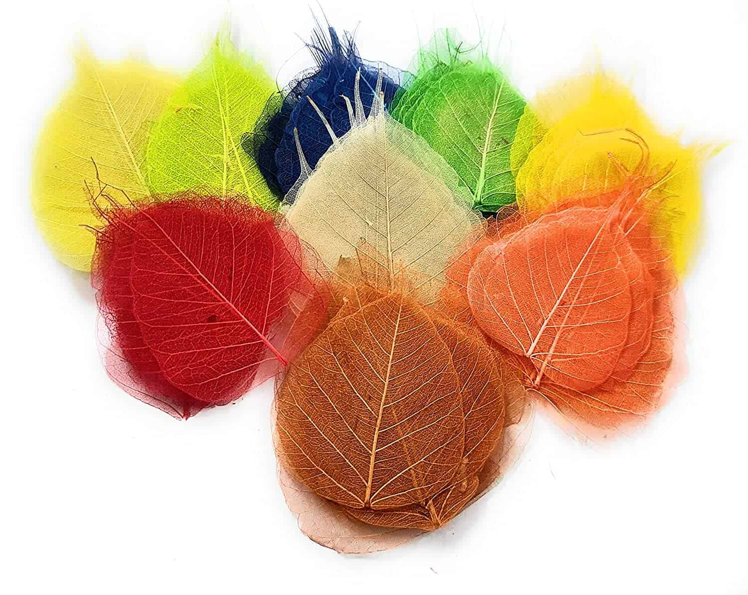 Peepal Tree Leaves /Skeleton Leaf Pack of 100 pcs