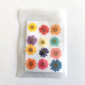 Pressed Flower 001