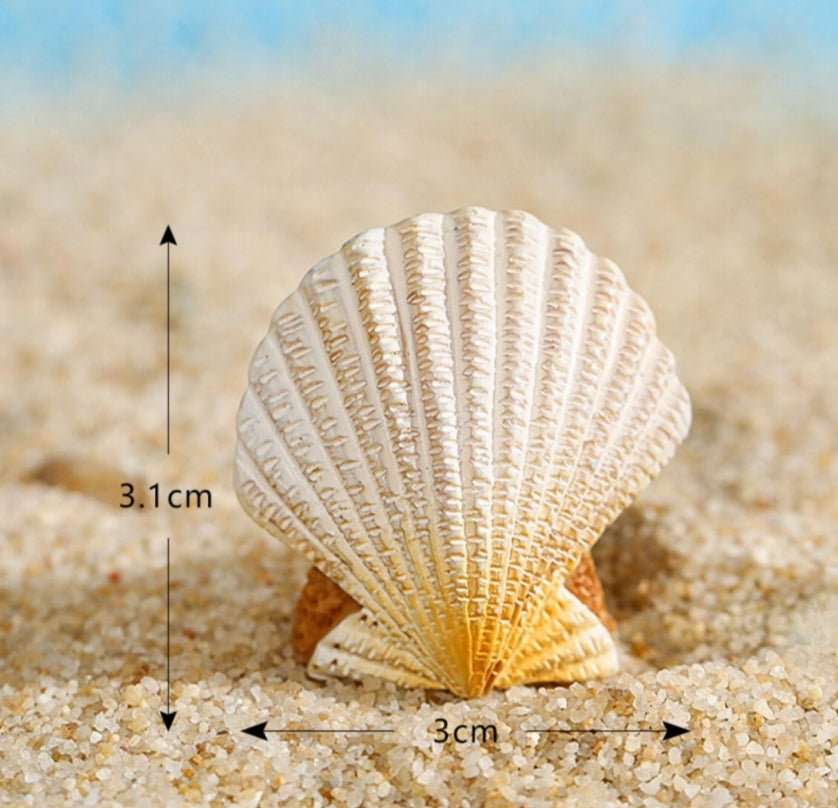 Sea Shell