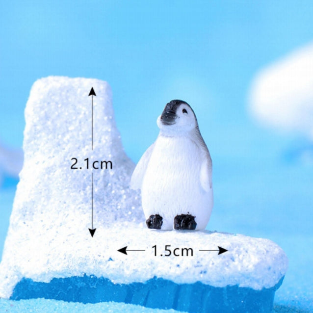 Little Penguin - C