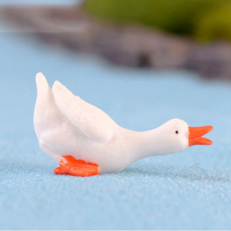 White Swan - C