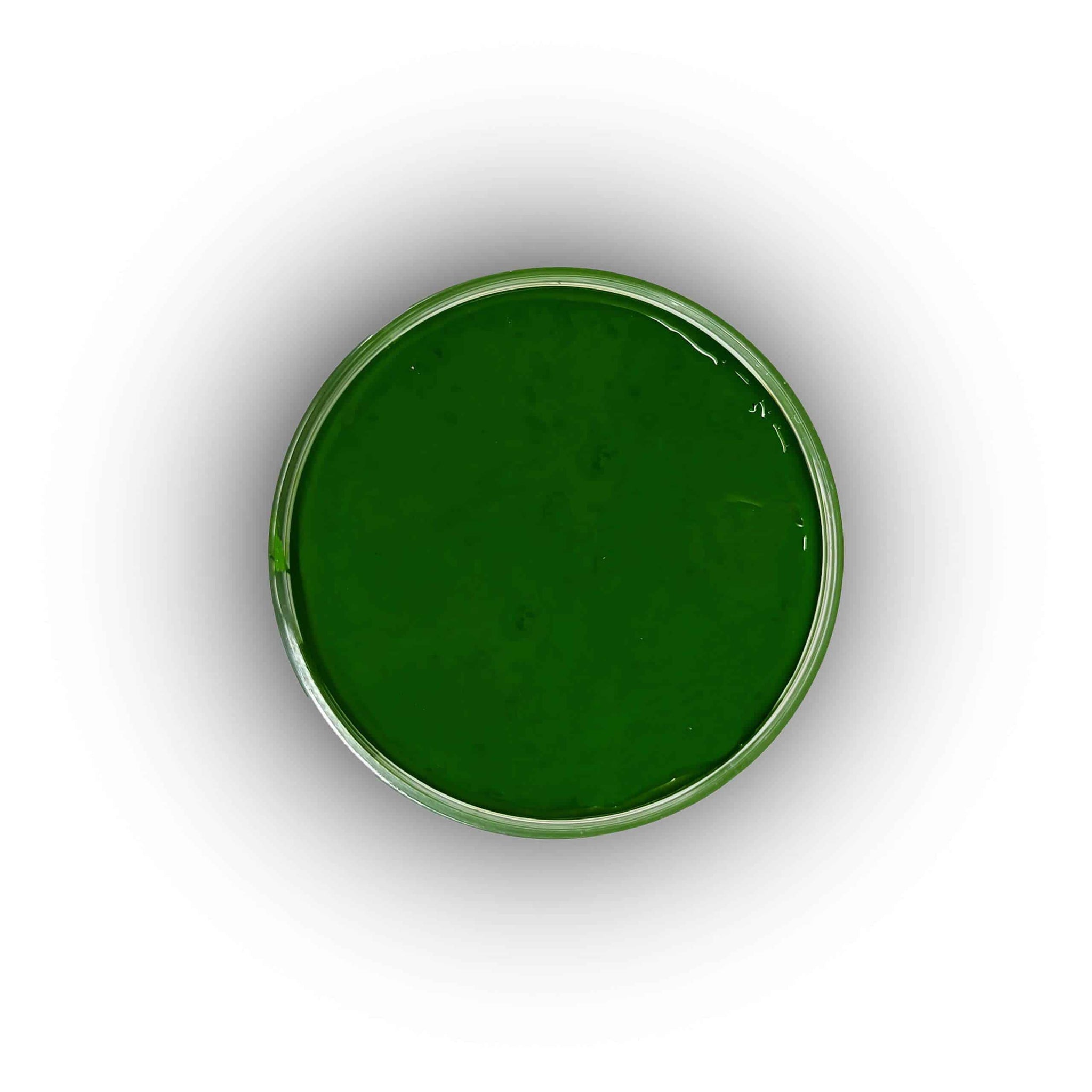 TP Green Paste Pigment-100 grm